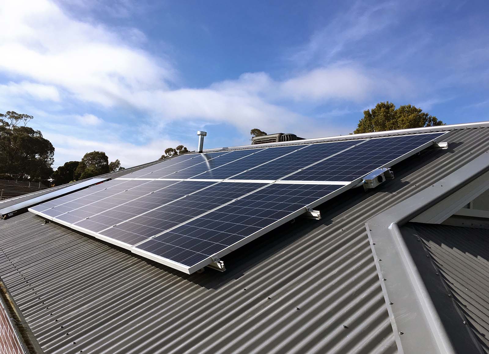 Why Bird Control For Solar Panels Is Necessary